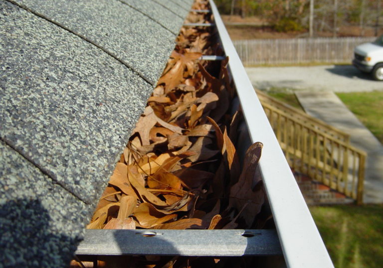 Keeping Your Rain Gutters Clean and Clear