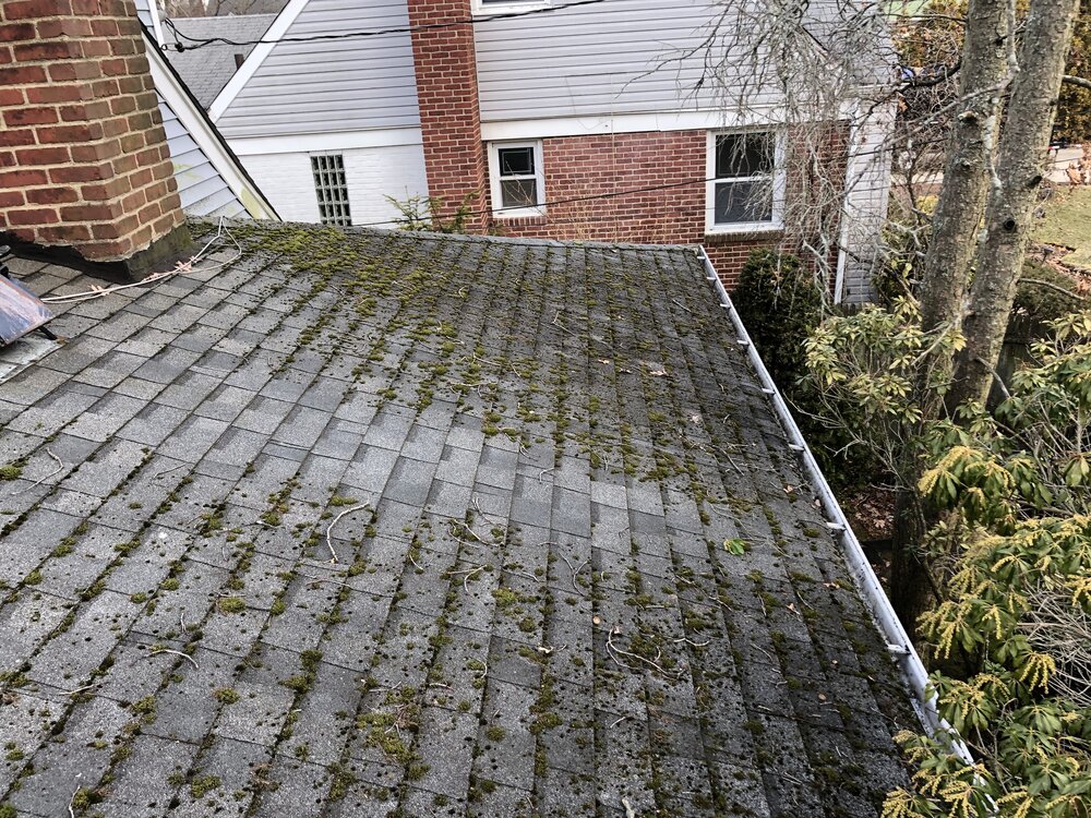 Roof Soft Cleaning 