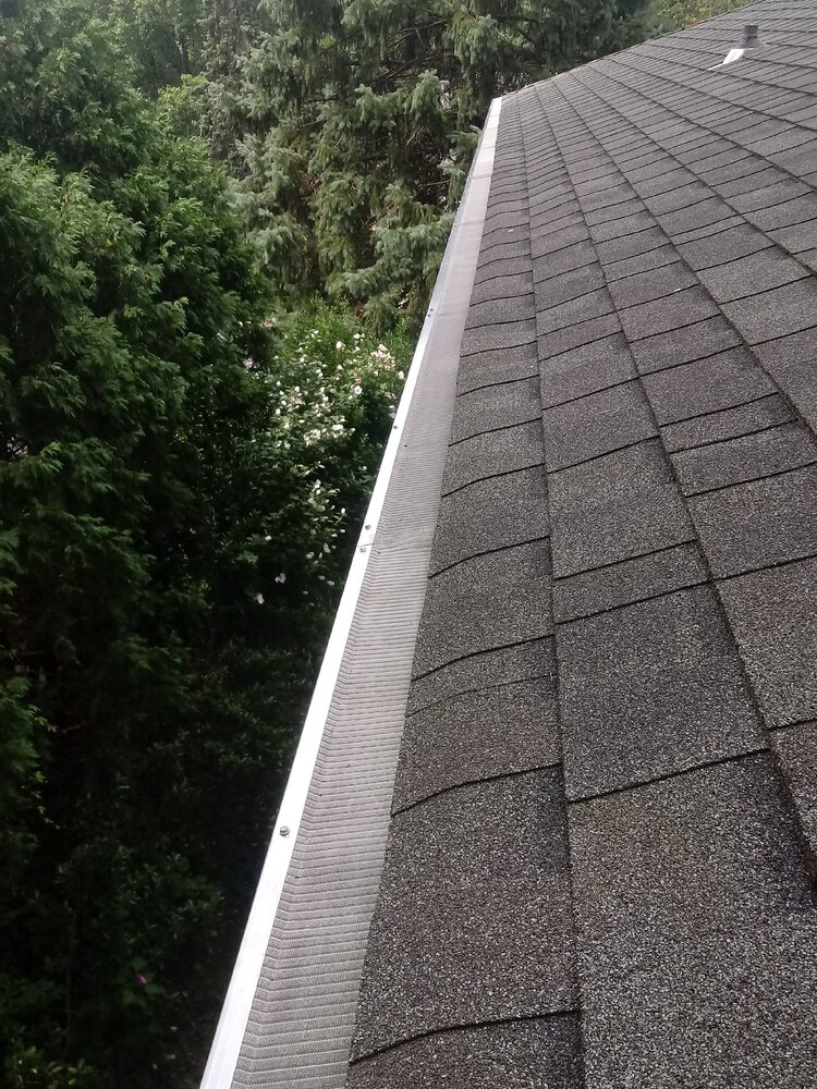 Gutters Cleaning