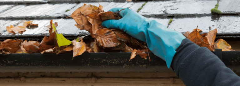 Cost of Cleaning Gutters