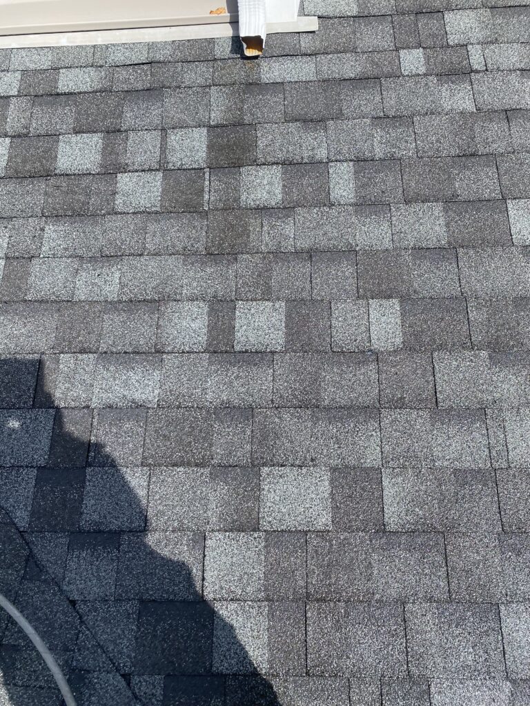 Roof Cleaners Near Me