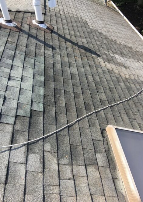 After Soft Wash Roof Cleaning